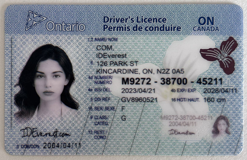 Fake ID Ontario